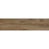 Carrelage sol extérieur effet bois Séquoia oak R11 23x120 cm