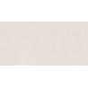 copy ofCarrelage mur Chic ivoire25x50 cm