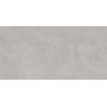 Carrelage murChic gris plomb25x50 cm