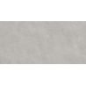 Carrelage murChic gris plomb25x50 cm