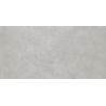 Carrelage murChic gris plomb25x50 cm