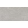 Carrelage murChic gris plomb25x50 cm