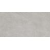 Carrelage murChic gris plomb25x50 cm