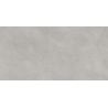 Carrelage murChic gris plomb25x50 cm