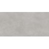 Carrelage murChic gris plomb25x50 cm