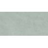 Carrelage murChic vert sauge25x50 cm