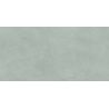 Carrelage murChic vert sauge25x50 cm
