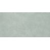 Carrelage murChic vert sauge25x50 cm