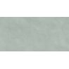 Carrelage murChic vert sauge25x50 cm