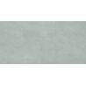 Carrelage murChic vert sauge25x50 cm