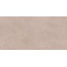 Carrelage murChic terre25x50 cm