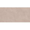 Carrelage murChic terre25x50 cm