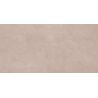 Carrelage murChic terre25x50 cm