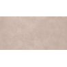 Carrelage murChic terre25x50 cm