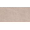 Carrelage murChic terre25x50 cm