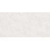 Carrelage murChic blanc25x50 cm