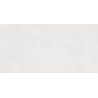 Carrelage murChic blanc25x50 cm