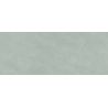 Carrelage mur Chic vert sauge 30x75 cm