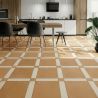 Carrelage sol traditionnel Villa terre 44x44 cm