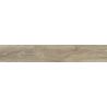 Carrelage sol imitation parquet Cilento érable 20x120 cm