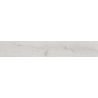 Carrelage sol imitation parquet Cilento blanc grisé 20x120 cm