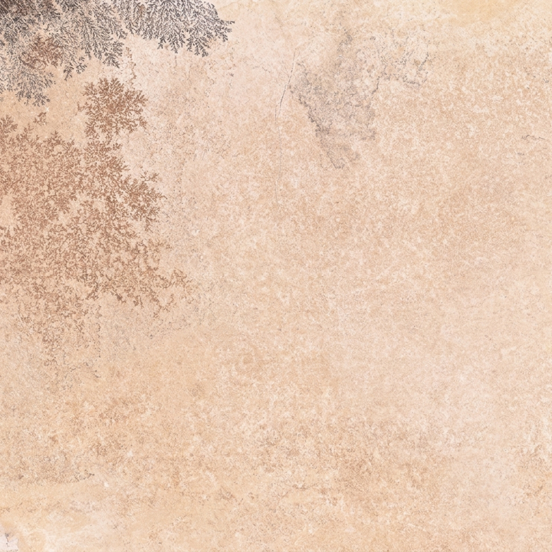 Carrelage sol effet pierre Travertin Navona sable 60x60 cm