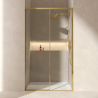 Destockage Portes de douche coulissante Hydra 150 cm