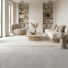 Carrelage sol moderne Newport gris argenté 60x60 cm