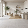 Carrelage sol moderne Newport gris argenté 60x60 cm