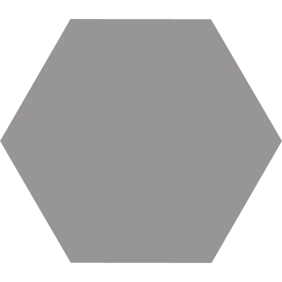  Carrelage sol hexagonal Rakuni grey 25x25 cm - Réflex Boutique