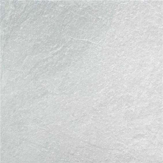  Dalle extérieur Prodige 2.0 Blanc R11 60x60 cm - Réflex Boutique