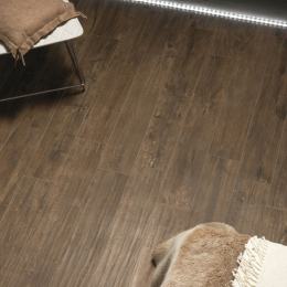 Soleras Brown 16,4*99,8 cm