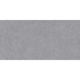 Carrelage sol extérieur effet pierre Paysage grey R10 60x120 cm