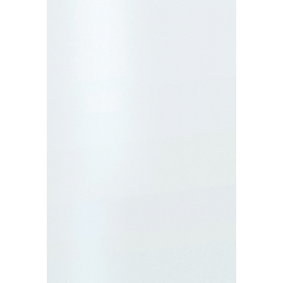 Carrelage mur Blanco brillo 25x40 cm