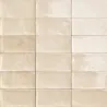 Carrelage mur Métro Flamingo bone 1020 cm