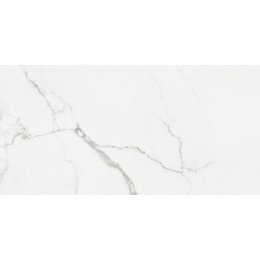 Carrelage sol et mur effet marbre brillant Hotel luxe poli 30x60 cm