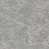  Dalle extérieur Nacre gris 2.0 R11 60x60 cm - Réflex Boutique