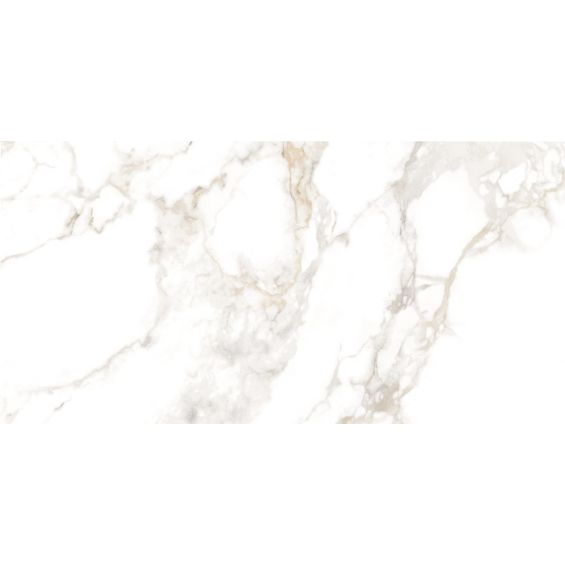 Carrelage sol et mur poli effet marbre Neptune Argent 60x120 cm