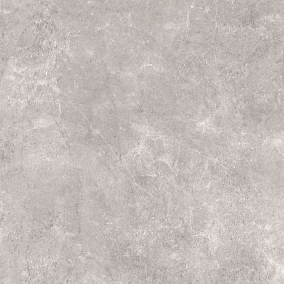 Carrelage sol moderne Tucson Silver 59,259,2 cm