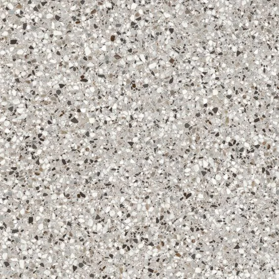 Carrelage sol extérieur terrazzo Patio naturel flocon R11 60x60 cm