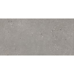 Carrelage effet Terrazzo Venetian gris 60x120 cm