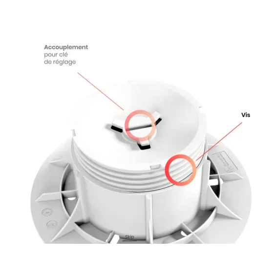 Plots Queen à clé autonivelant 50/79 mm (25 pièces) DPS - Réflex Boutique