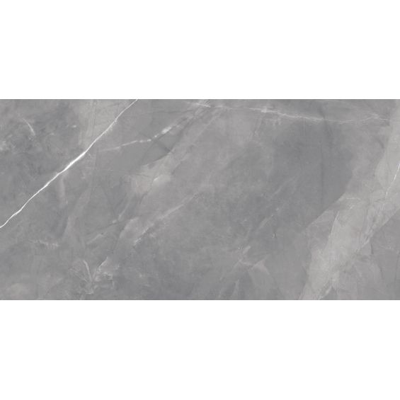 Carrelage sol poli Dune gris 60x120 cm