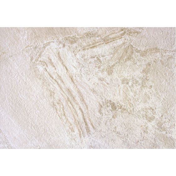 Carrelage sol extérieur effet pierre Arezzo beige R11 45x65 cm