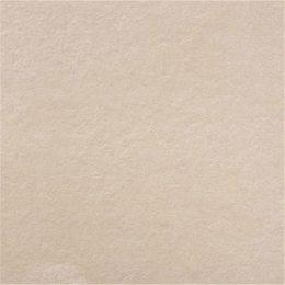 Lot de 13 m2 Dalle extérieur public bone R11 60x60 cm