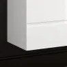Coloris Blanc brillant