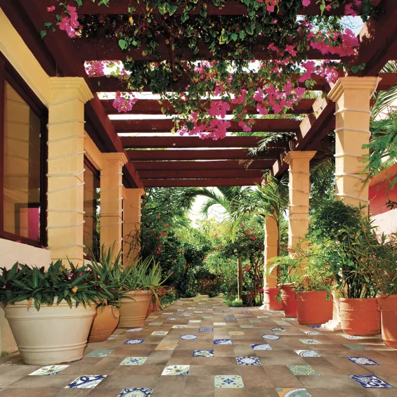 Carrelage sol extérieur Terracotta terre R11 21,6x43,5 cm