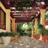 Carrelage sol extérieur Terracotta terre R11 21,6x43,5 cm