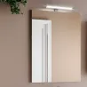 Miroir avec applique