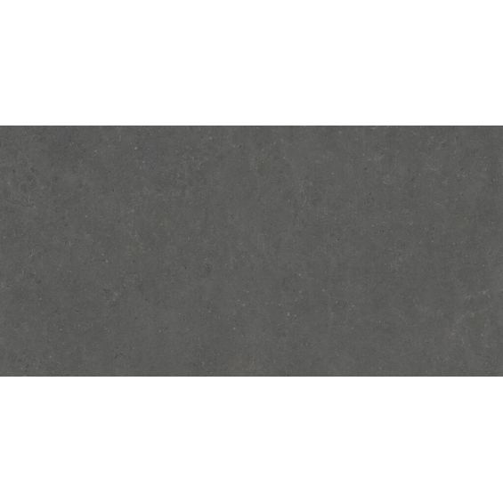 Carrelage sol effet béton Concretum Anthracite60x120 cm